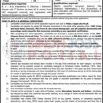 Sukkur-Electric-Power-Jobs