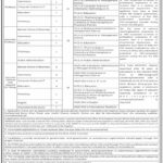 BENAZIR BHUTTO SHAHEED UNIVERSITY Teaching JOBS LYARI KARACHI SINDH