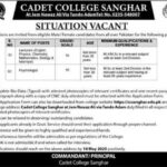 Cadet-College-Sanghar-Jobs-2025