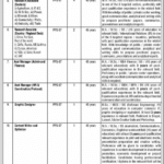 Government of Pakistan Cabinet Secretariat SIFC Division Jobs Apply 2025