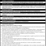 Government of Sindh Sindh Institute of Child Health & Neonatology Jobs 2025