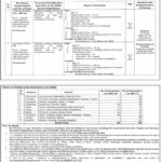 Government of the Punjab Punjab Enforcement and Regulatory Authority Jobs 2025