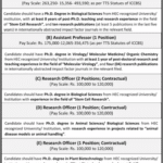 Job Opportunities at the International Center for Chemical and Biological Sciences University of Karachi