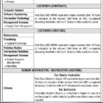 Teaching Jobs at National University of Modern Languages Hyderabad 2025