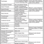 Job Opportunities at Center for Autism Rehabilitation and Training, Sindh (C-ARTS)