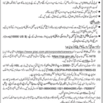 PIA Jobs 2025 – Captain & Flight Steward Vacancies in Karachi