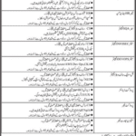 Sindh IT Company SITC Jobs 2025 – Apply Online for Multiple IT Positions
