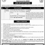 PCSIR IT Specialist Jobs 2025 – Apply Online