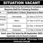 Safety & Security Company Jobs 2025